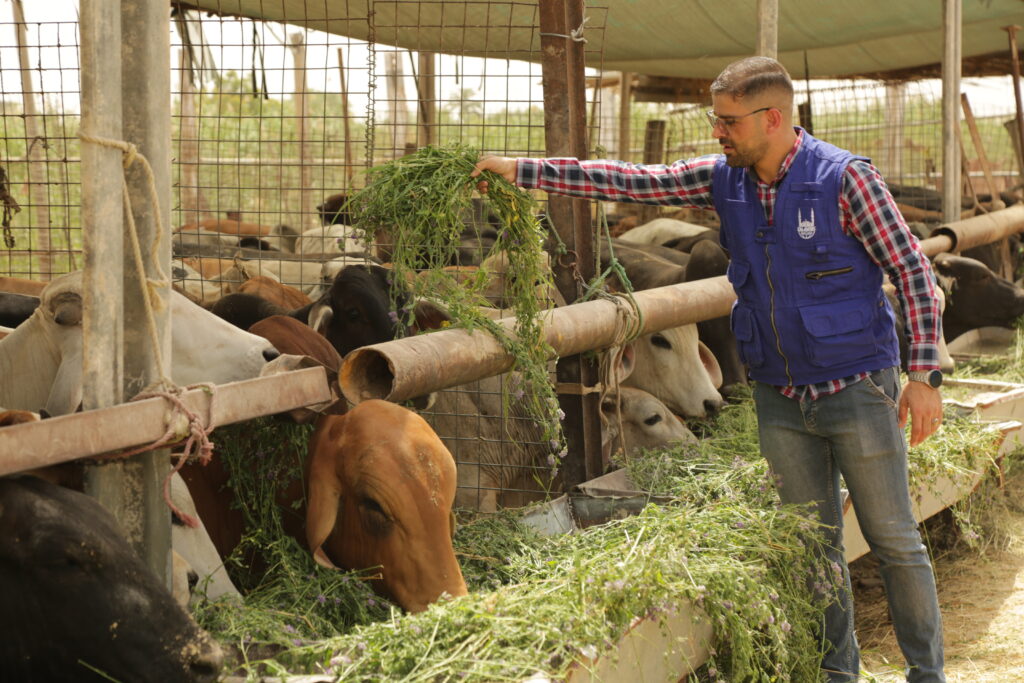 Islamic Relief staff preparing Qurban for sacrifice on Eid al Adha