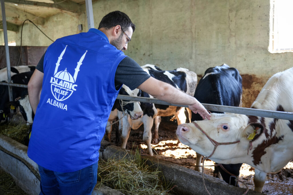 Islamic Relief staff inspecting animals for Qurban, to be sacrificed during Eid Al-Adha