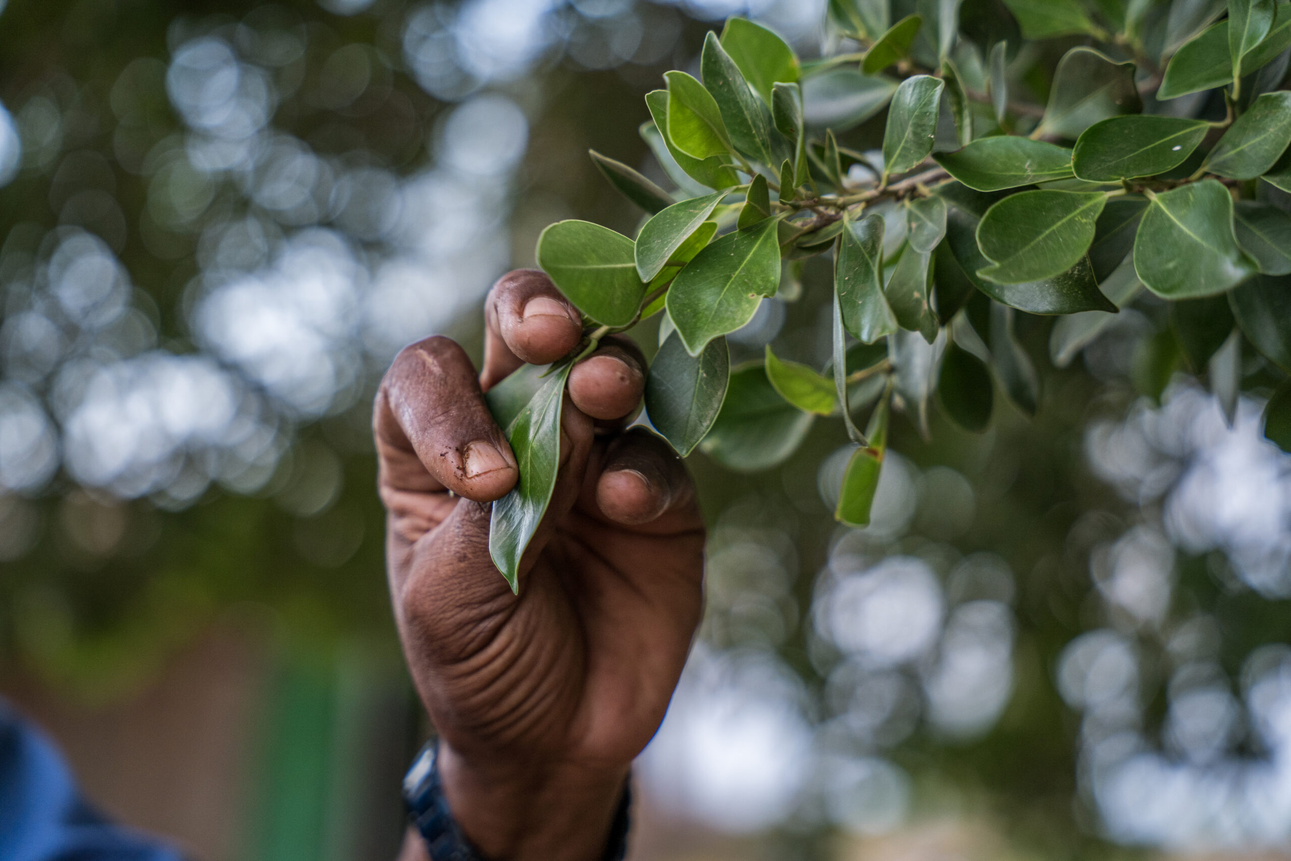 World Hunger Day: Urgent Global Action Needed as Hunger Doubles in a Decade